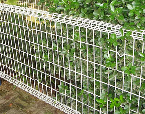 雙圈護欄網
